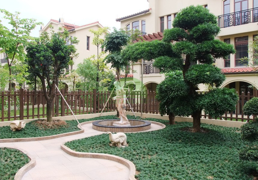 針對草坪發黃的原因和防治對策有哪些？