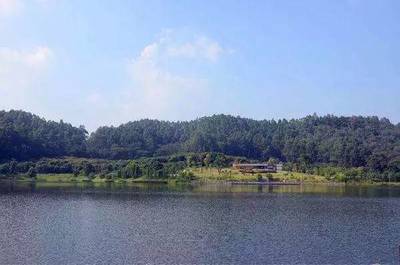 廣州南郊最大森林公園的觀光服務體驗