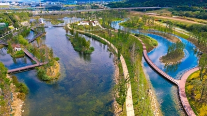 踏青觀水展巾幗風采，河湖中心三八節公園觀光活動紀實