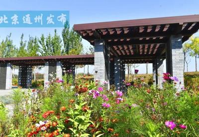 面積超400畝！通州又添休閑新地標，城市綠肺開門迎客
