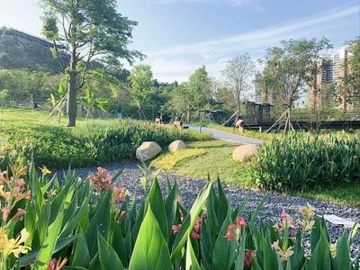 集生態種植、科普體驗、觀光游樂于一體 西麗生態公園打造兒童友好游學新路徑