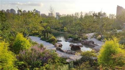 上海“見縫插綠”新增55座城市公園，公園總數達406座，市民暢享綠色福祉