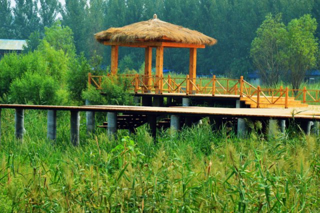 自駕玩轉河南，帳篷露營好去處——這些公園露營地你打卡了嗎？